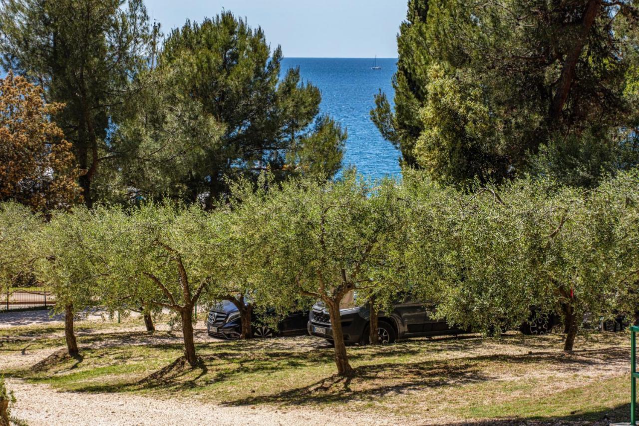 Porton Nature Hideouts Ровин Екстериор снимка